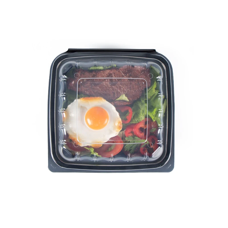 8x8-Inch-Biodegradable-Heavy-Duty-Dinnerware 8x8-Inch-Biodegradable-Heavy-Duty-Dinnerware