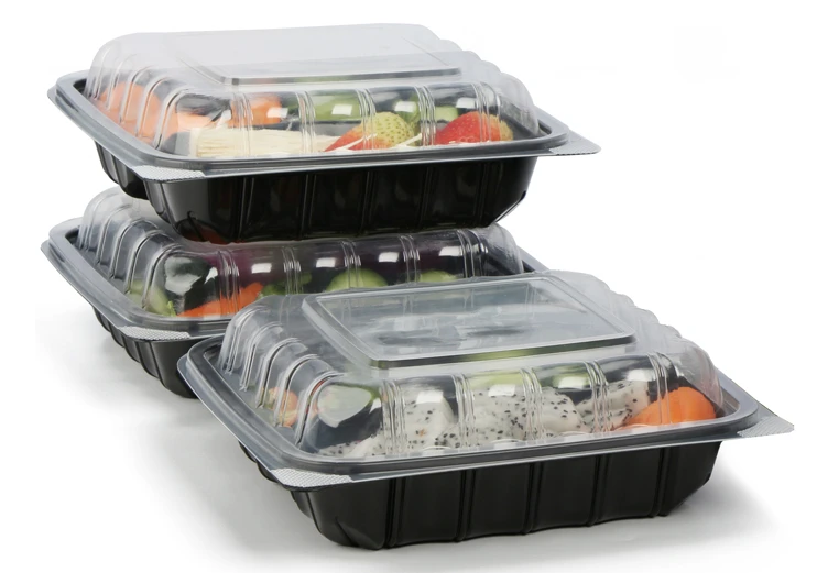 disposable rectangular container