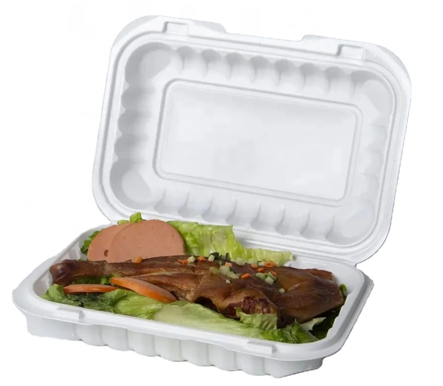 disposable lunch boxes