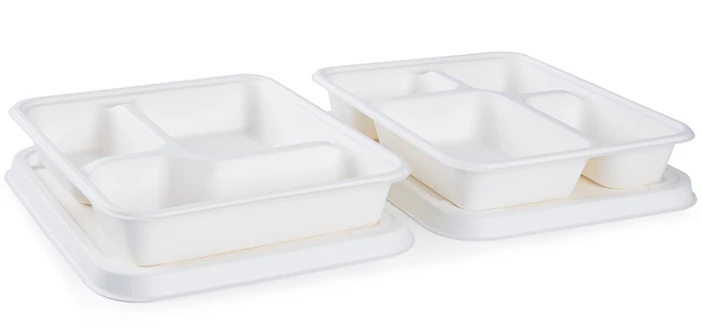 Bagasse food containers