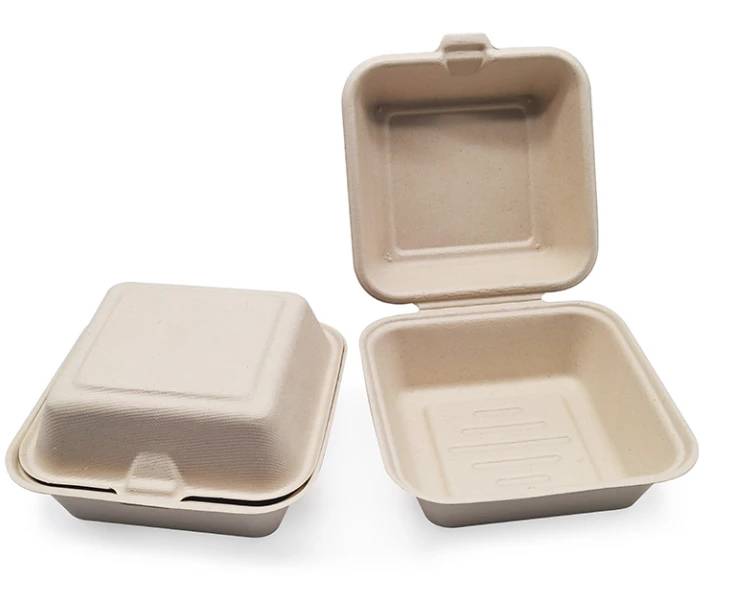 sugarcane food container