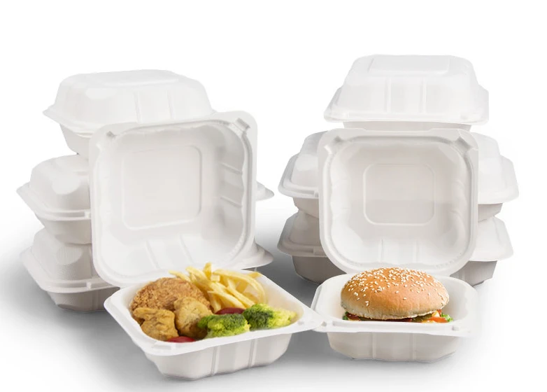 news-782-560 disposable lunch boxes