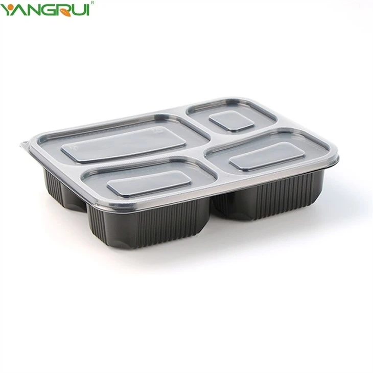 Food Bento Box