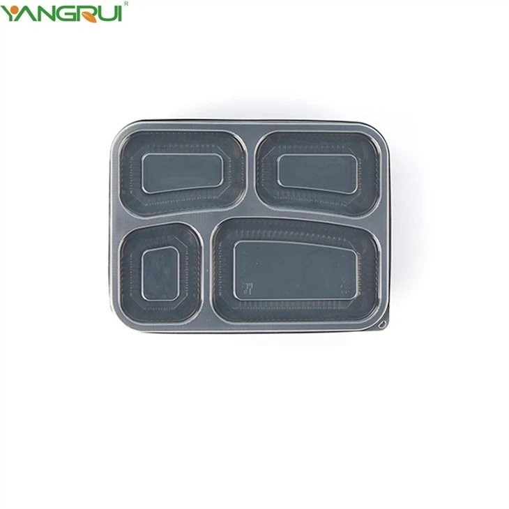 Food Bento Box
