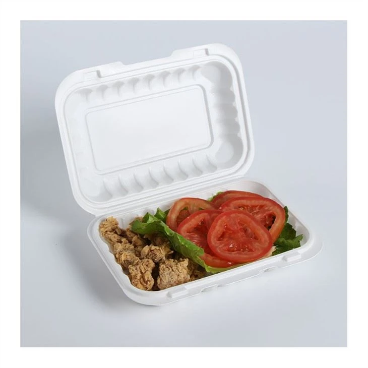 Clamshell Pp Berengsel