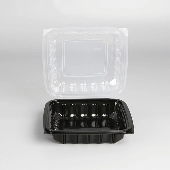 Hot Seller 9x9x1inch Hinged Food Container Microwavable Takeaway Lunch Box Disposable Food Container With Locking Lid