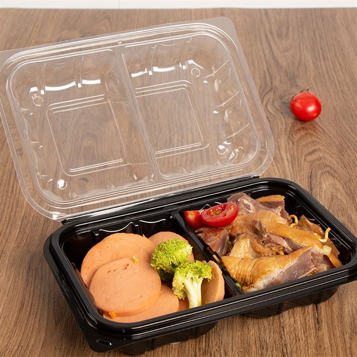 Bekas Makanan Bawa Keluar Dwi Warna 9x6''