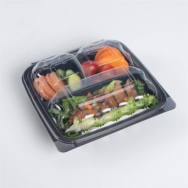 9x9'' Hinged Lid Takeout Food Container