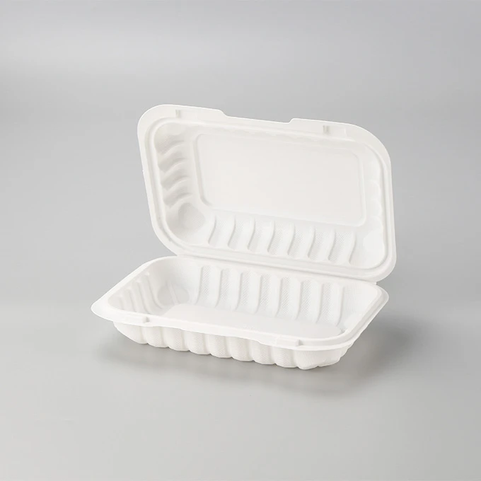 Kotak Makan Tengah Hari Plastik Pakai
