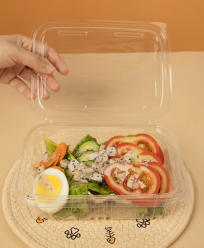 Mangkuk Salad Plastik Segiempat