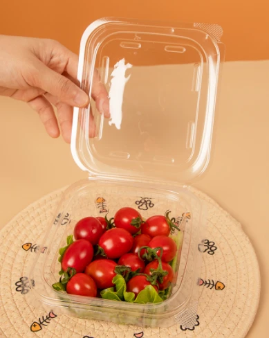 Dataran Mangkuk Salad Plastik