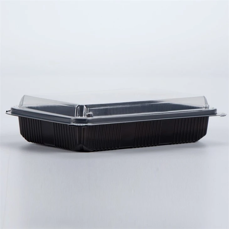 Rectangular Food Storage Container