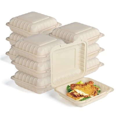 Plastic Compostable Takeout Containers