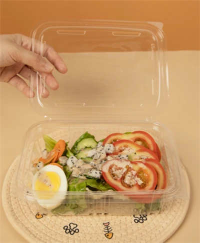 Plastic Salad Bowls Retangular Plastic Salad Bowls Retangular