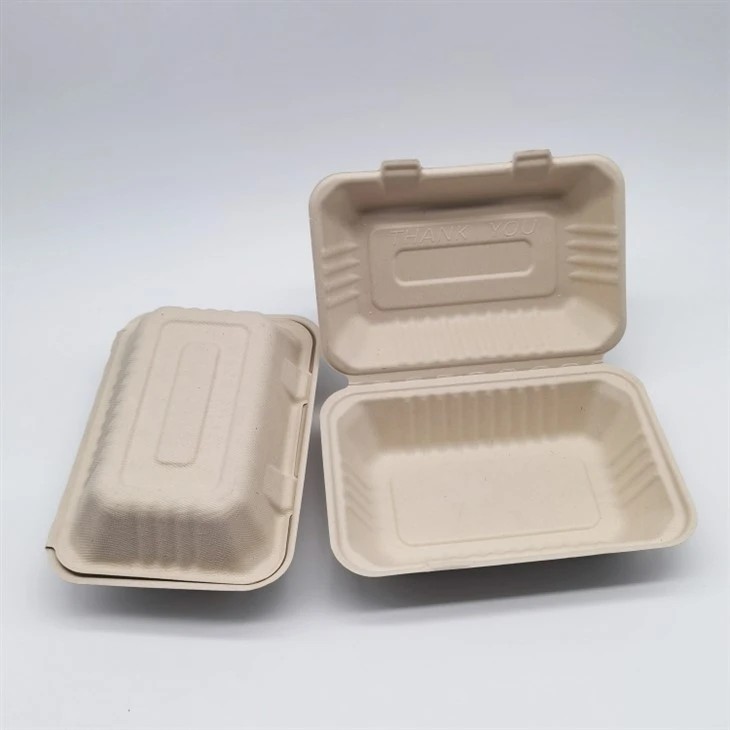 Bekas Makanan Buluh Tebu Bagasse