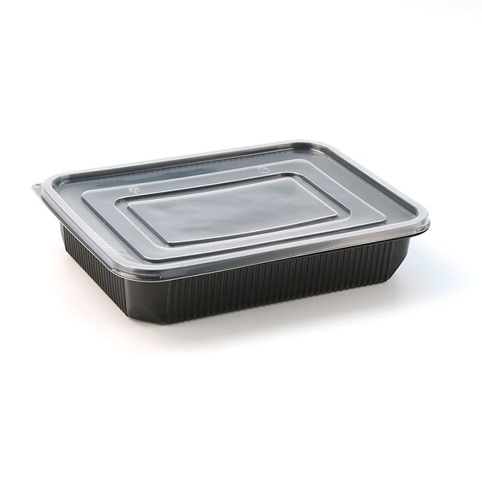 Takeout Bento Boxes With Airtight Lid