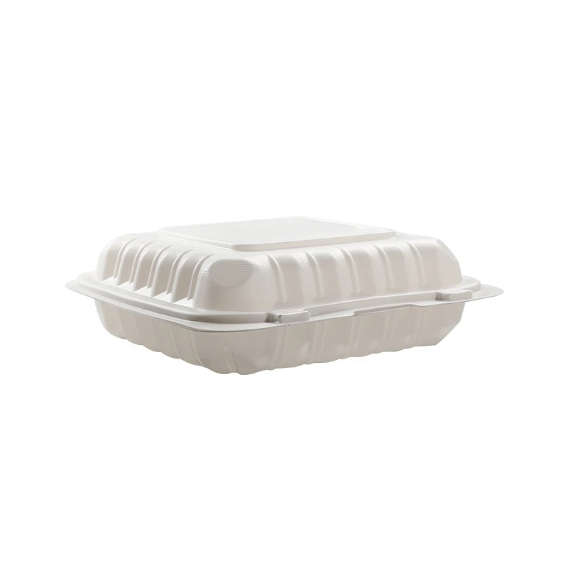1 Kompartmen Hinged Lid Container