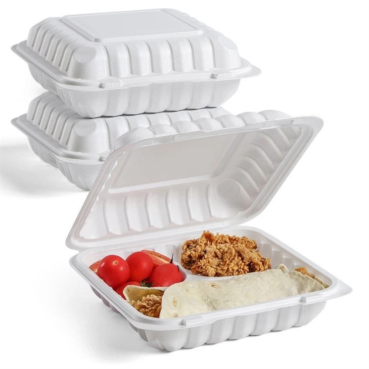Biodegradable Togo Container