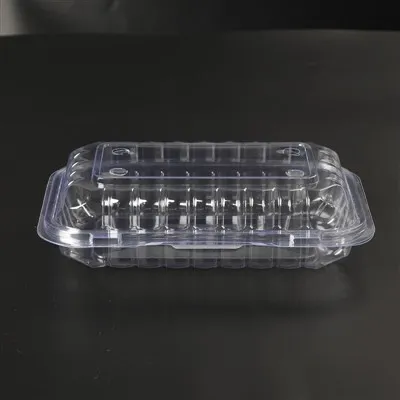 Clear Hinged Lid Container
