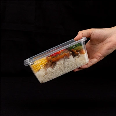 Clear Plastic Togo Containers Clear Plastic Togo Containers
